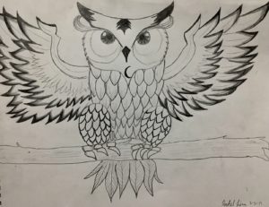 Owl - Drawing Class