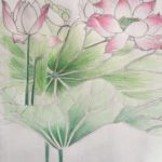 Lotus - Drawing Class